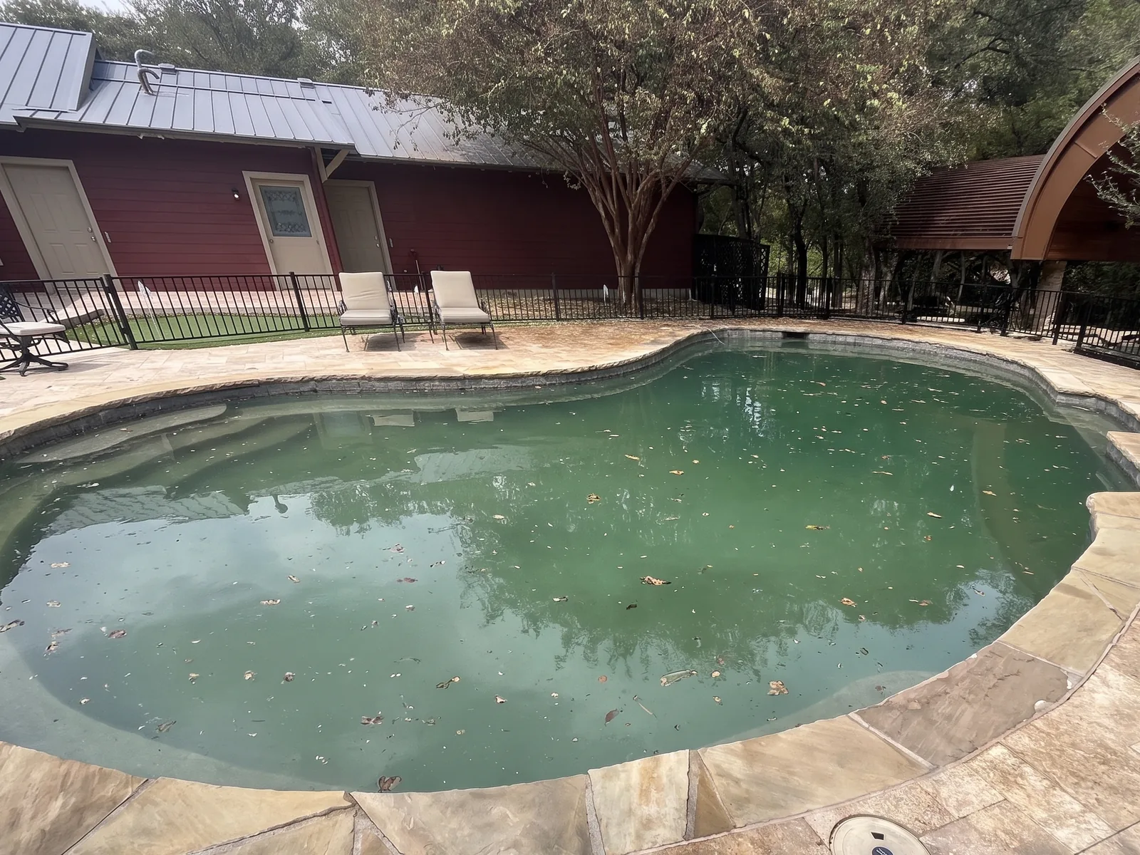 Neglected pool with murky green algae-filled water before service